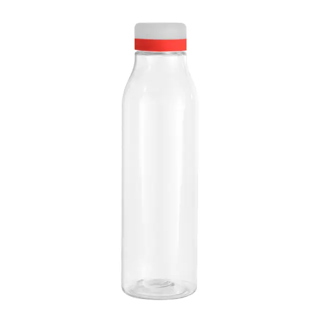 Botella "ANDINA FROST"