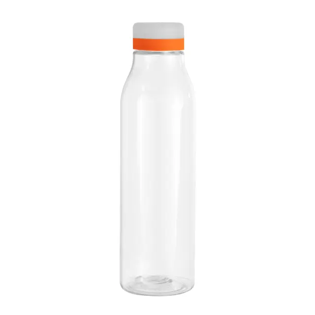 Botella "ANDINA FROST"