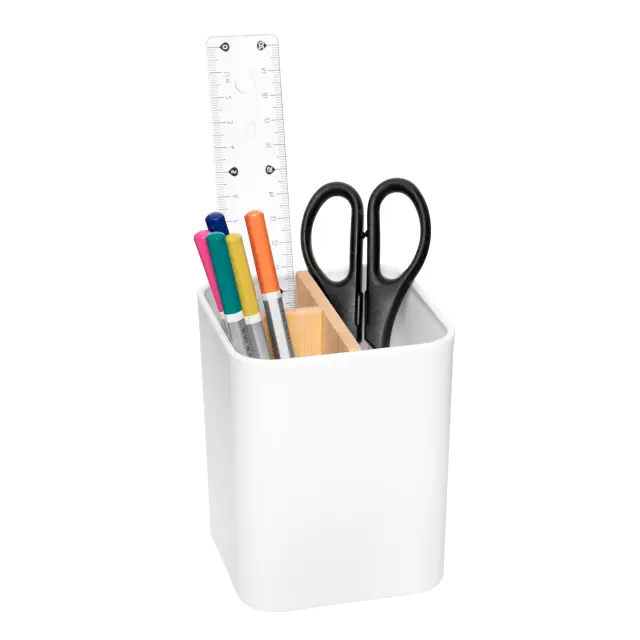 Organizador "LAYOUT" 2