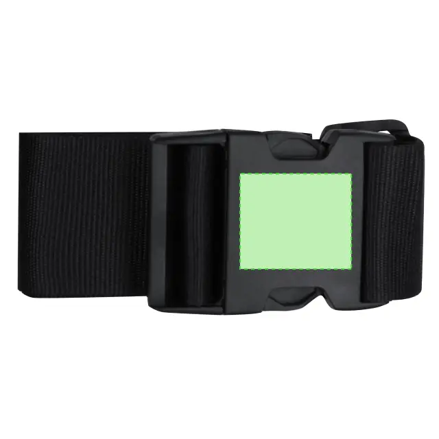 Biccap