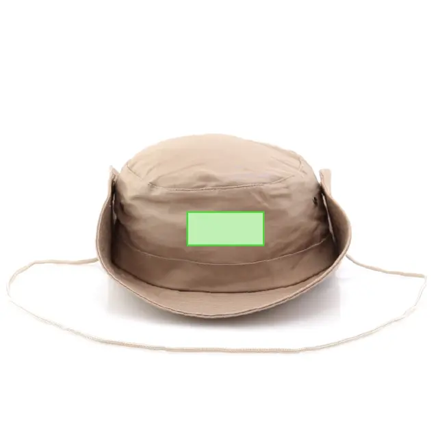 Safari