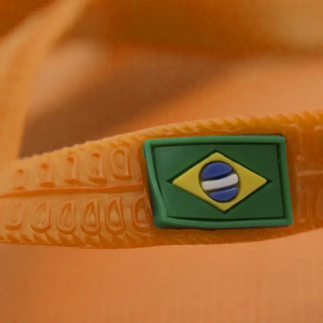 Brasileira 8
