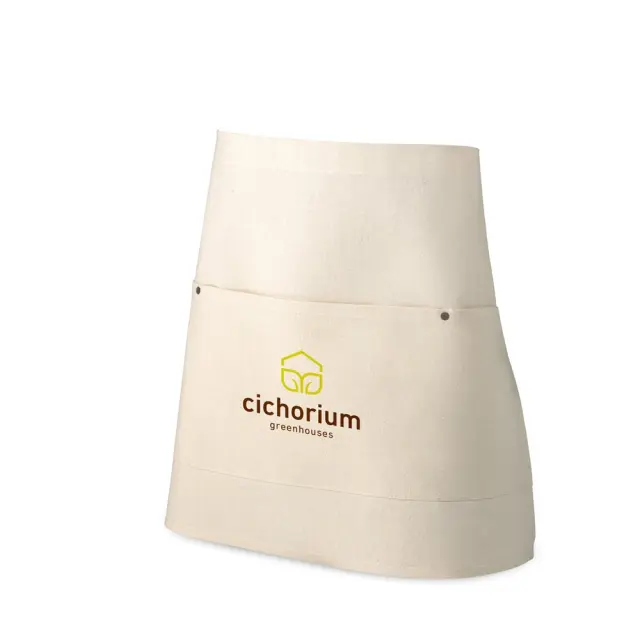 CHICORY