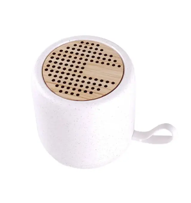 Parlante Noise 4