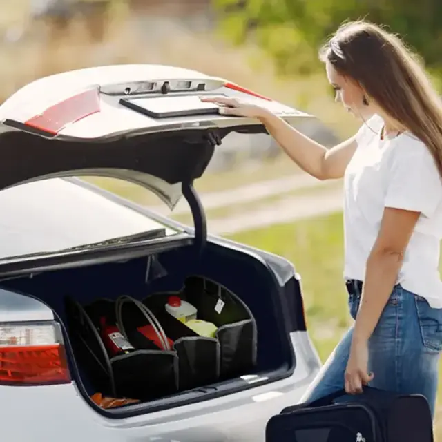 Car organizer 6