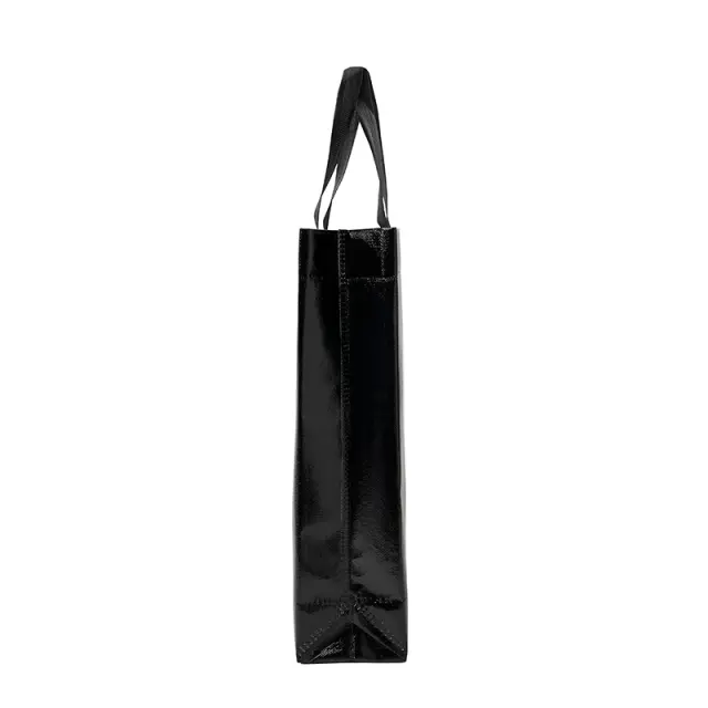 Bolsa Shiny 40x38x10 13