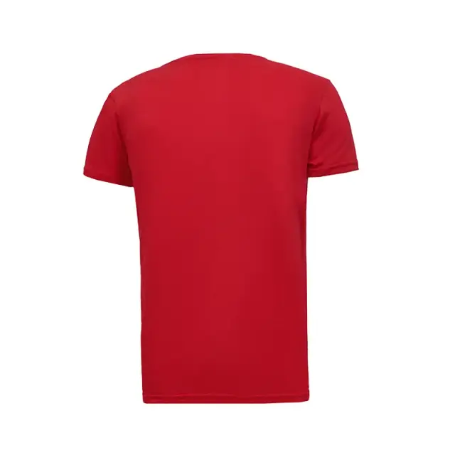 Remera Fall 7