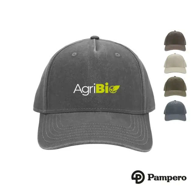 Gorro Lanin 26