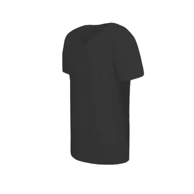 Remera Fall 13