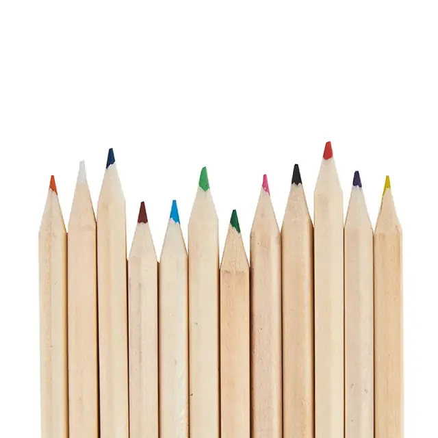 Set de Lapices de Colores x 12 unidades